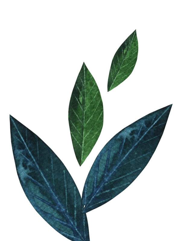 FLORMINIMALISTA 5