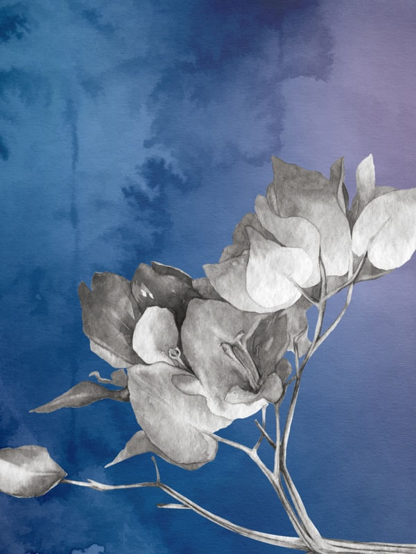 FLORMINI F