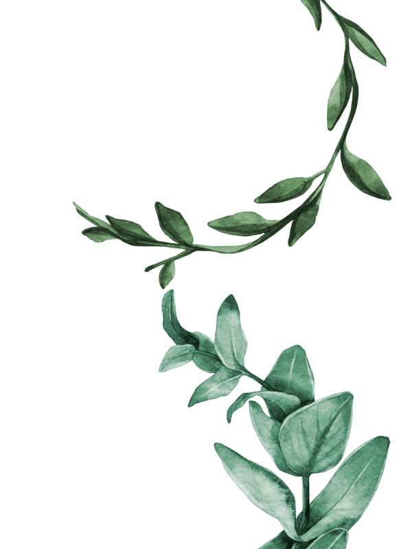 MINIMALISTA G