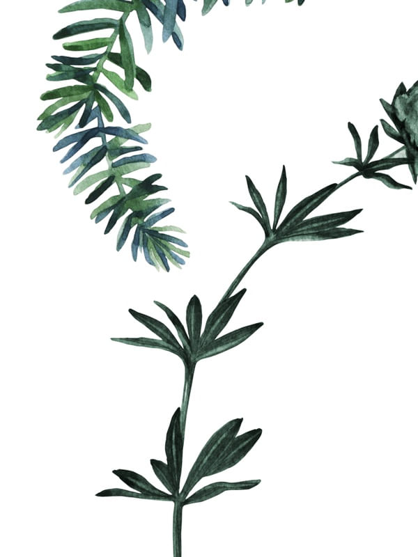 MINIMALISTA GL