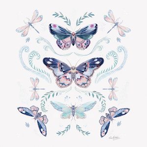 BORBOLETAS,MARIPOSAS E LIBÉLULAS