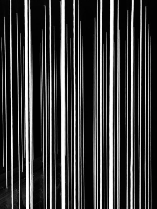 THIS IS NOT A BAR CODE