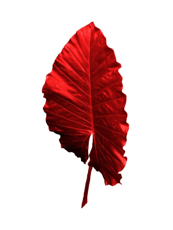 REDPL