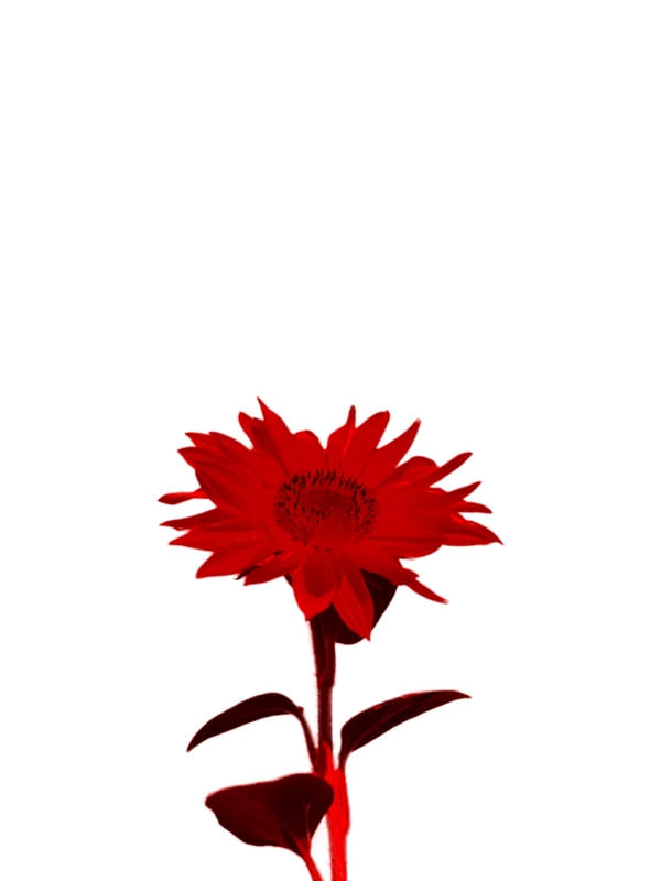 REDFG