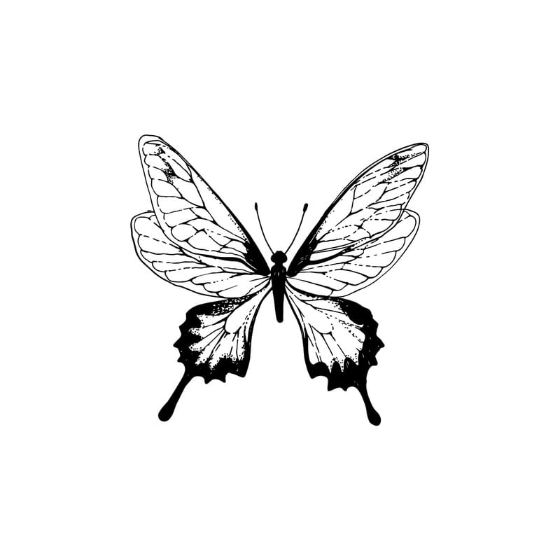 BORBOLETA PB