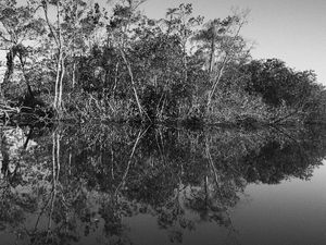 MIRROR RIVER