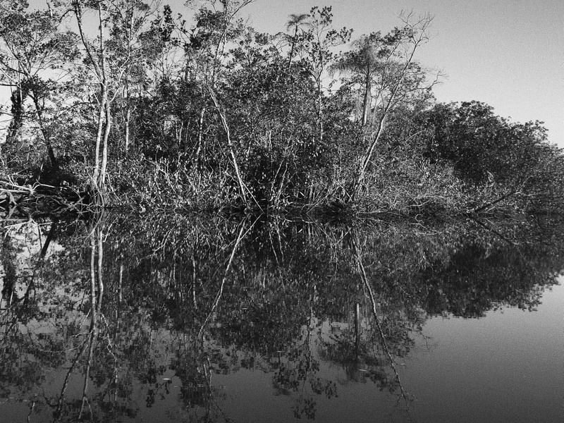 MIRROR RIVER