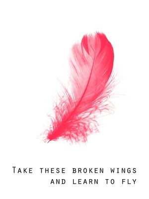 BROKEN WINGS