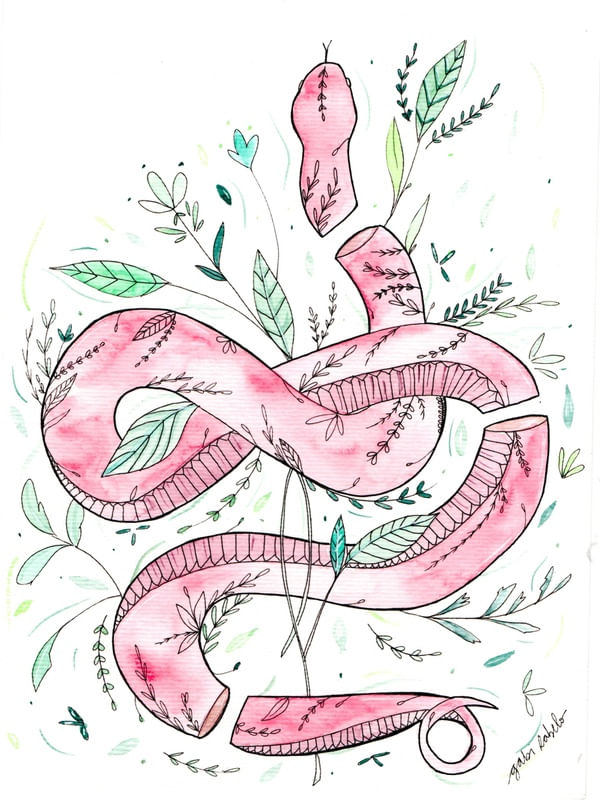 ANGUIS PK