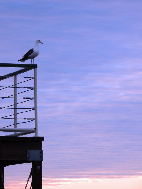 HORIZONTE 01