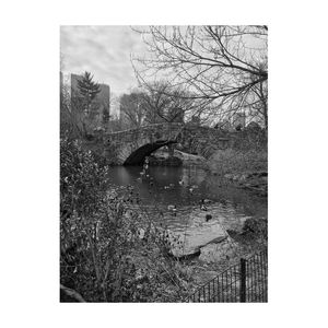 SPECIAL CENTRAL PARK