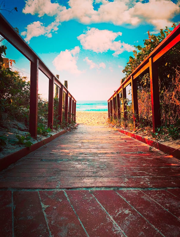 CAMINHO DO PARAÍSO