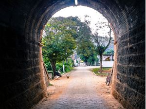 TÚNEL - RURAL