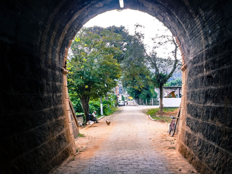 TÚNEL - RURAL