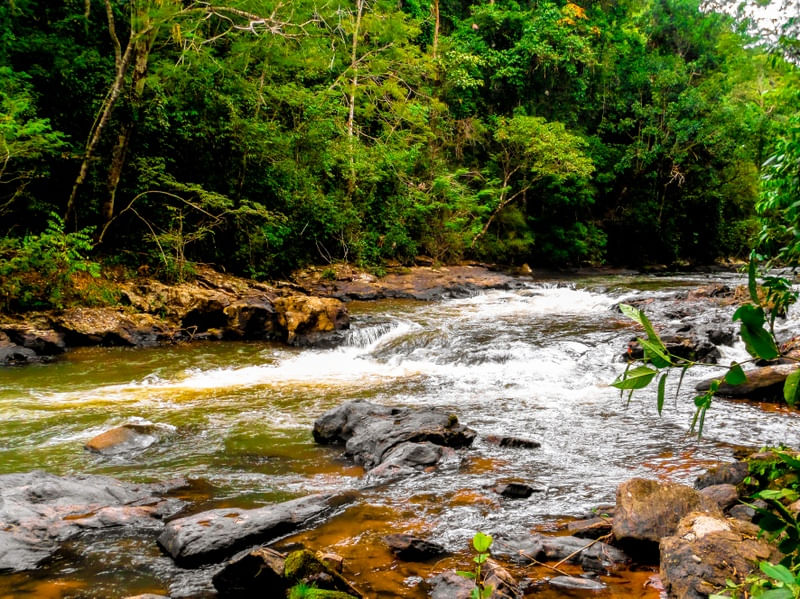 CACHOEIRA - NATUREZA