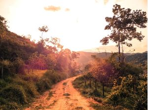 RURAL - NATUREZA