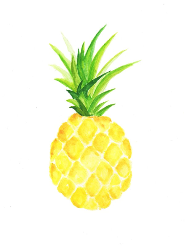 FRUTAS - ABACAXI EM AQUARELA