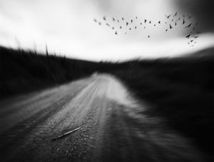 O CAMINHO PARA MACONDO