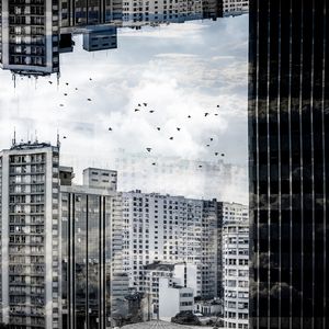 REALIDADE DISTORCIDA