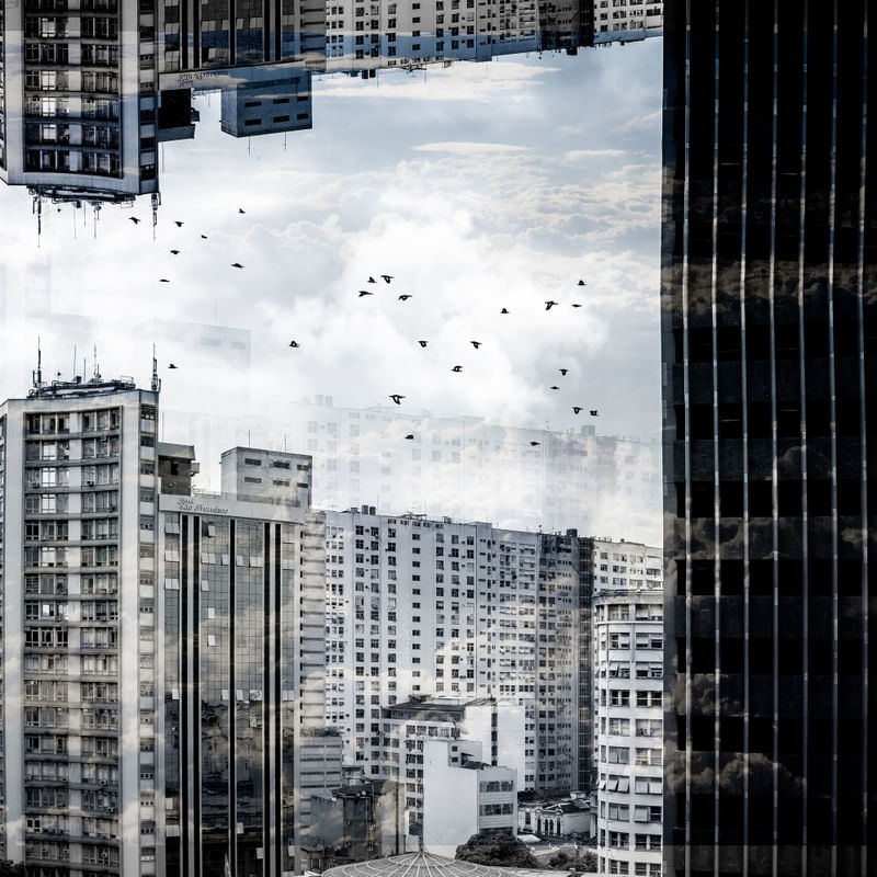 REALIDADE DISTORCIDA