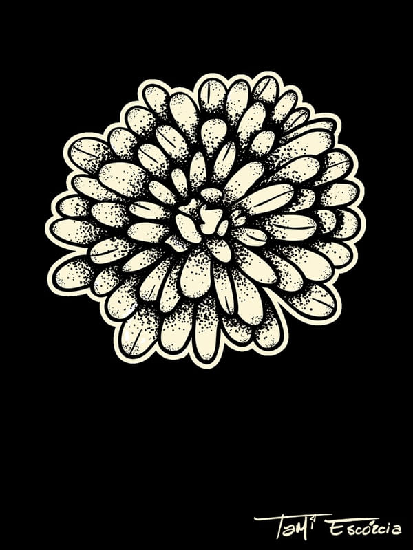 DENTE-DE-LEÃO PONTILHISMO