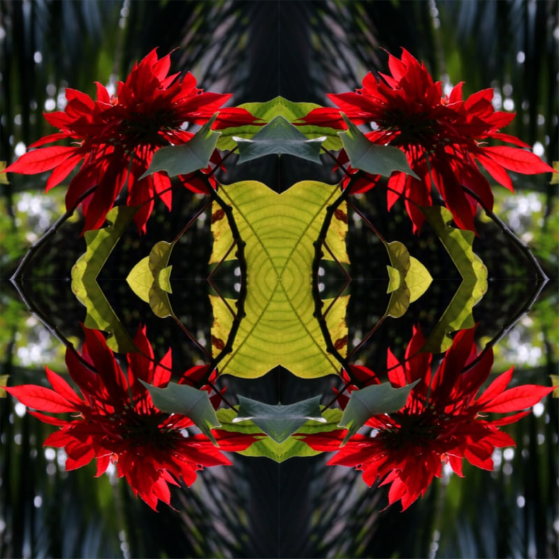 FLORES VERMELHAS GRANDES 00