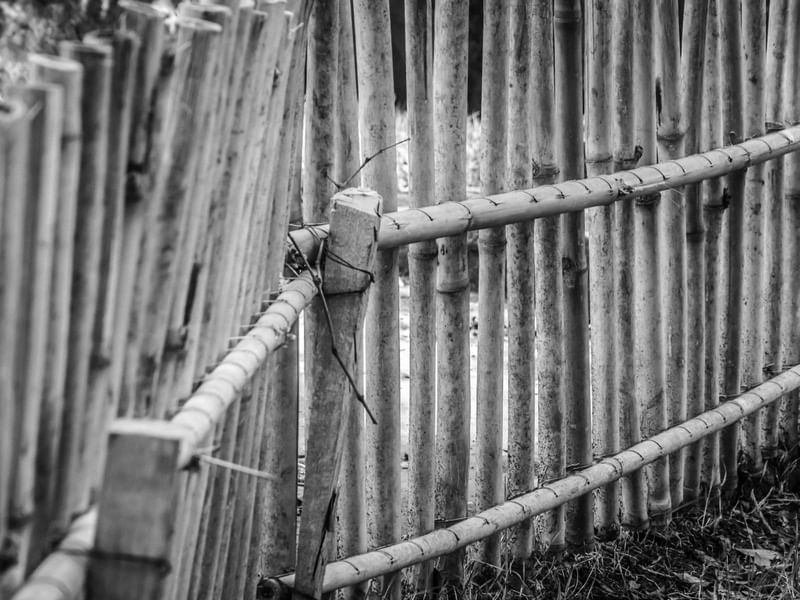 CERCA DE BAMBU_3