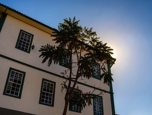 ÁRVORE E CASA EM OURO PRETO