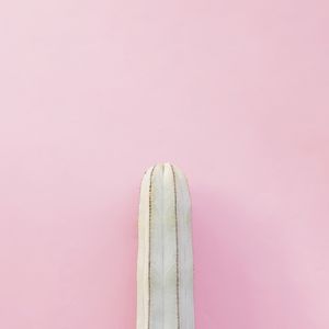 CACTO E ROSA IV
