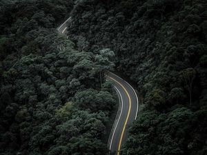 HIT THE ROAD