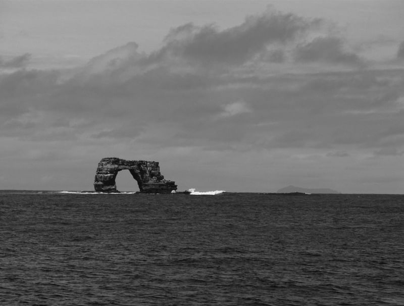 DARWIN ARCH