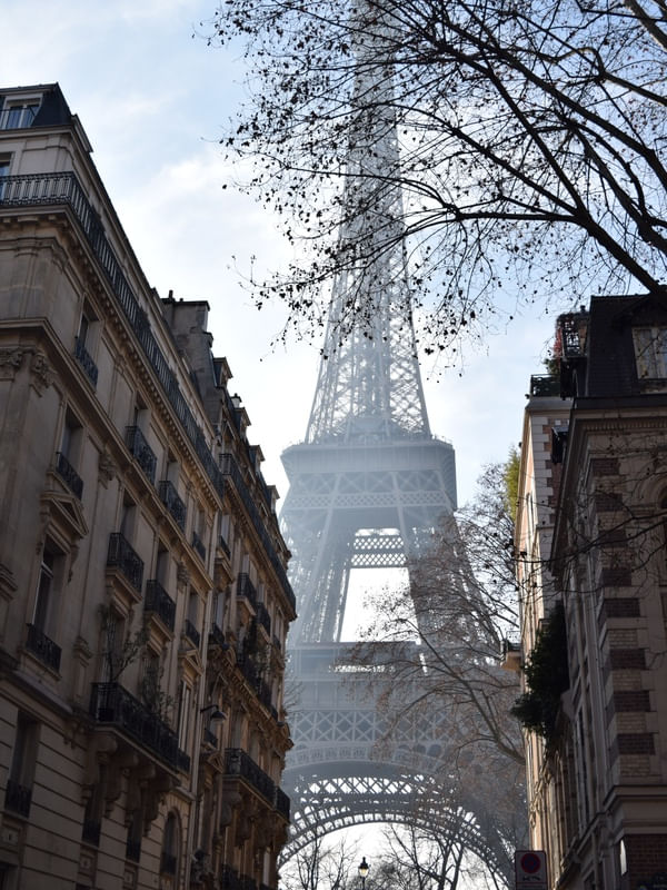 A MARAVILHOSA PARIS SOB O OLHAR DO INVERNO.