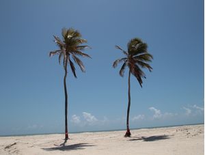 MANGUESECO