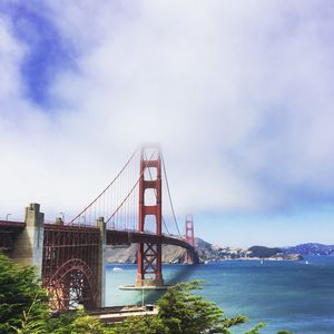 CARL, THE FOG - GOLDEN GATE