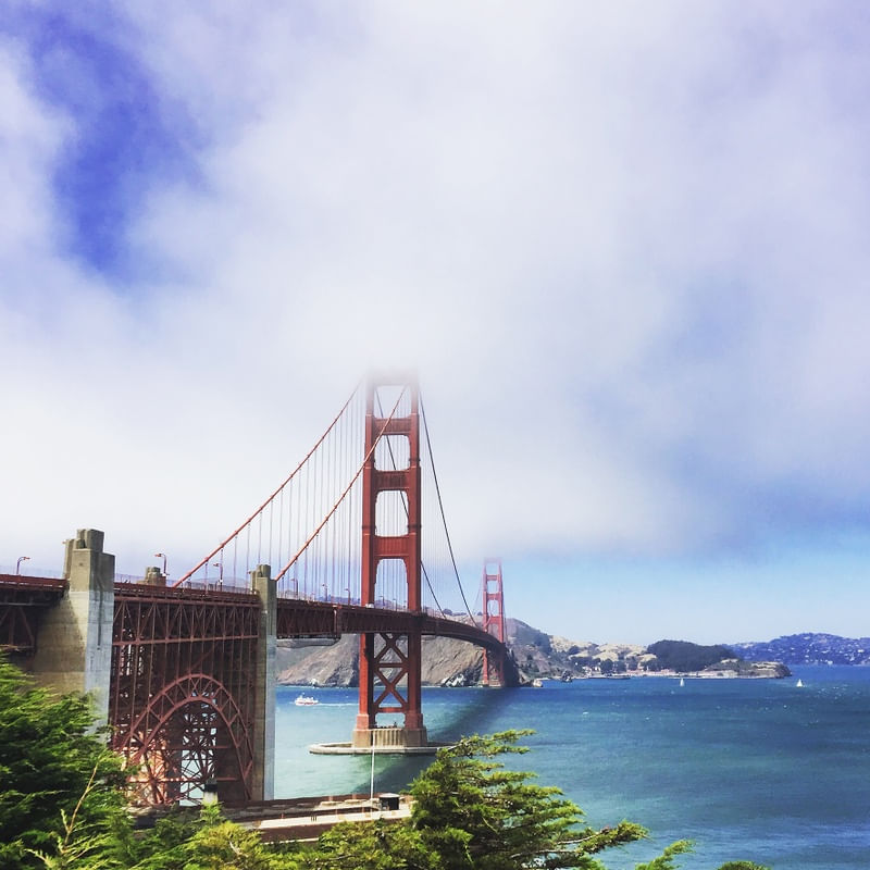 CARL, THE FOG - GOLDEN GATE
