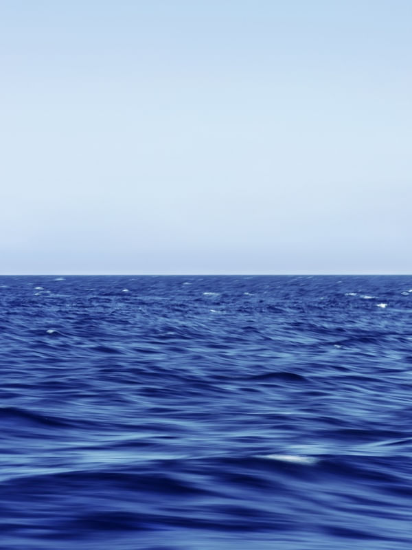 STILLNESS AND FLUX