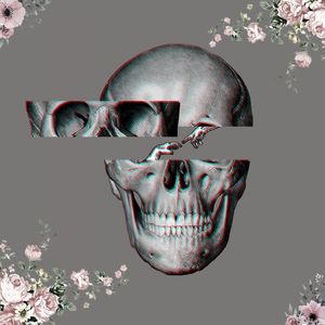 SKULL AND HANDS