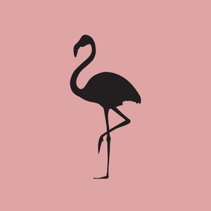 FLAMINGO LL