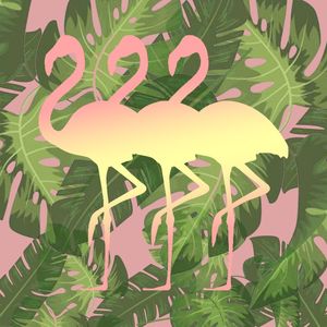FLAMINGO LLL