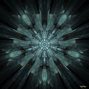 SHADOW OF THE STAR - OCTOBER 2018