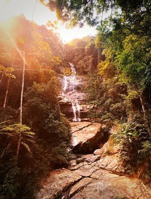 CACHOEIRA DA TIJUCA