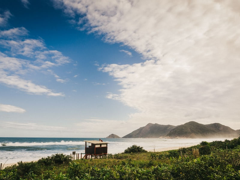 LITORAL TROPICAL