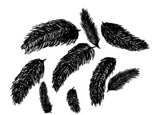 LUCKY BLACK FEATHERS