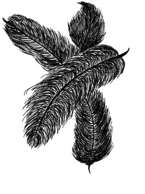 BLACK FEATHERS 2
