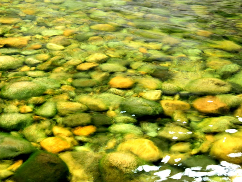 FUNDO DO RIO VERDE