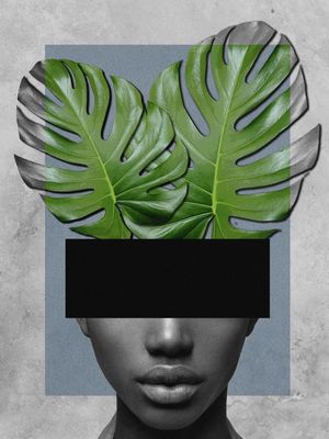 LINDA MONSTERA