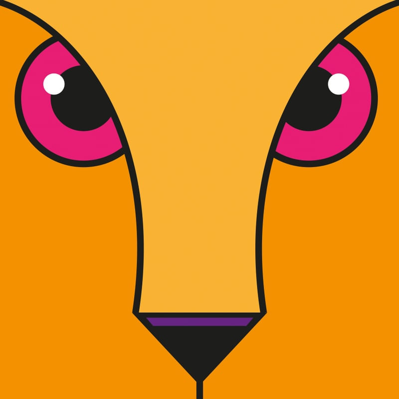 OLHOS - FELINA