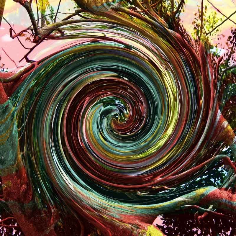 NATUREZA PRIMAVERA 04 ARTISTA GLORIA RIMES