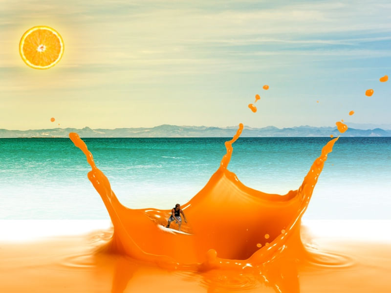 SURFANDO A VITAMINA C - SP