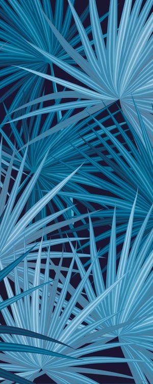 TROPICAL BLUE 2/3